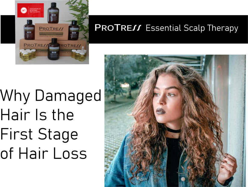 Why Damaged  Hair Is the First Stage  of Hair Loss