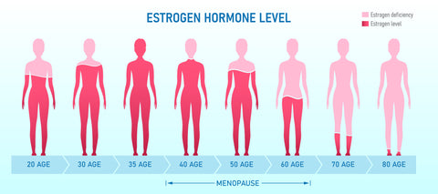 estrogen levels fall causing hair loss