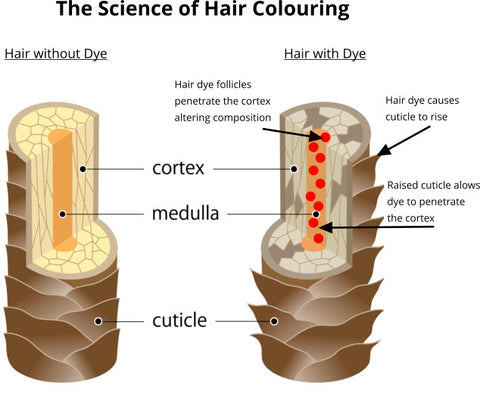 science of hair colouring