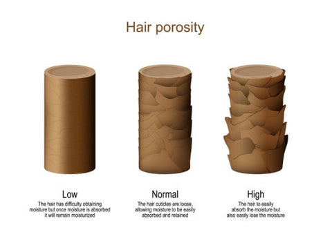 high porosity hair illustration