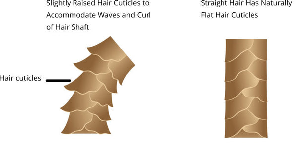 slightly raised hair cuticles