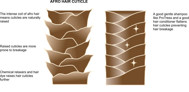 afro hair cuticle