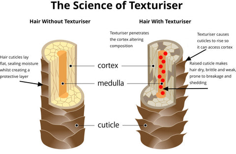 science of texturisers