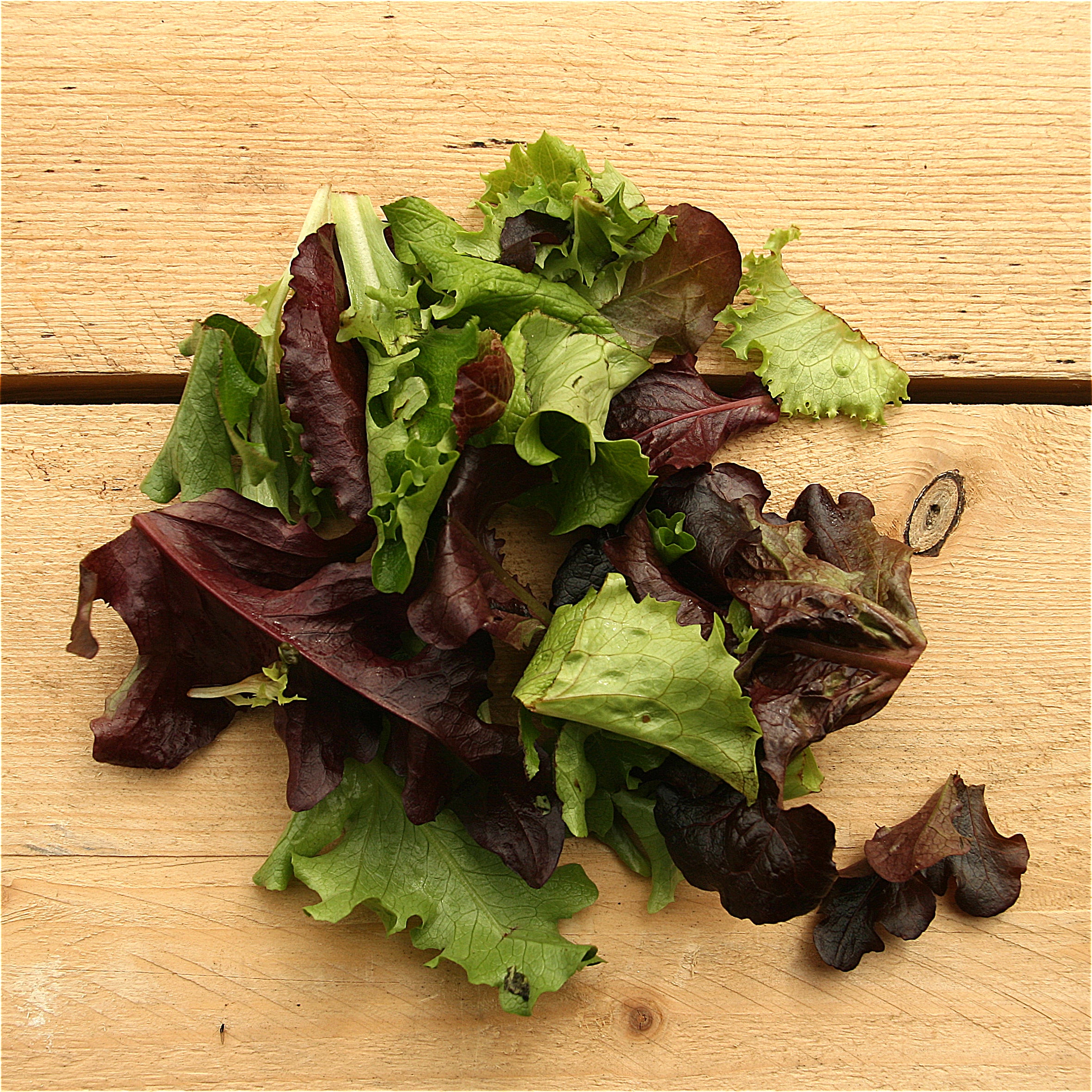 greener-greens-uk-food-delivery-organic-salad-leaves