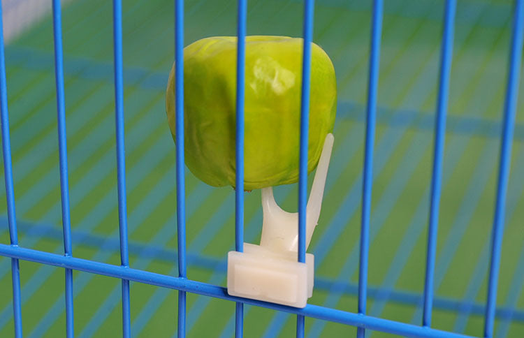 Pet Birds Parrot Fruit Fork Set On The Cage Feeder Supplies 2 Pcs