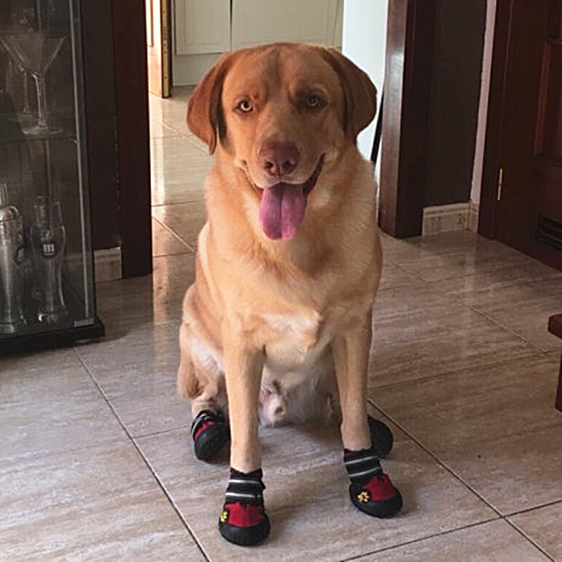 non slip booties for dogs