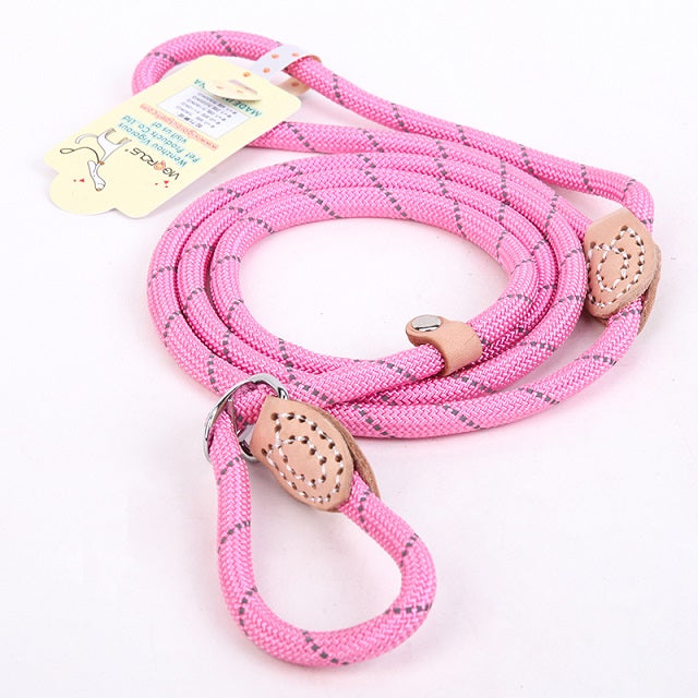 large dog leashes and collars