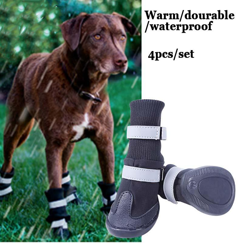 dog shoes pitbull