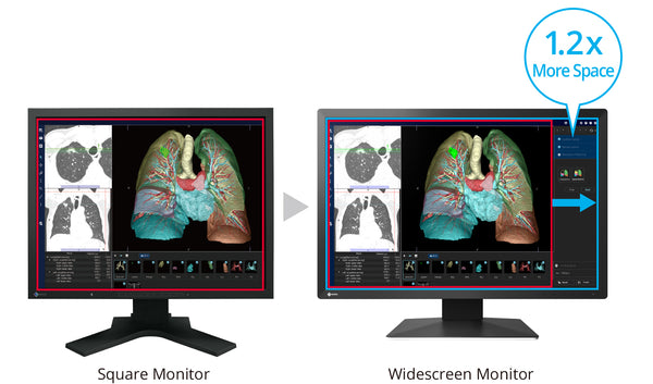 Eizo MX243W