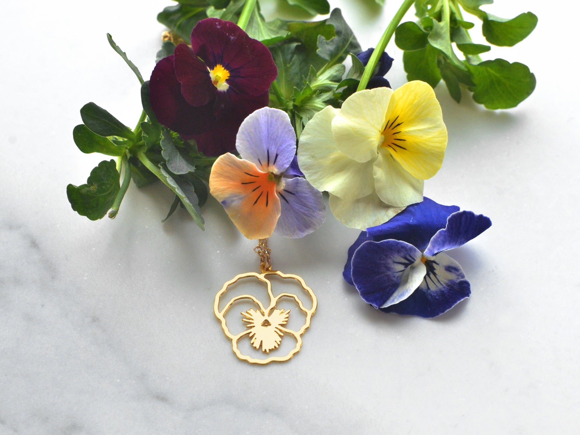 Birth Flower Pendant February - Primrose – The Botanics Shop at Royal  Botanic Garden Edinburgh