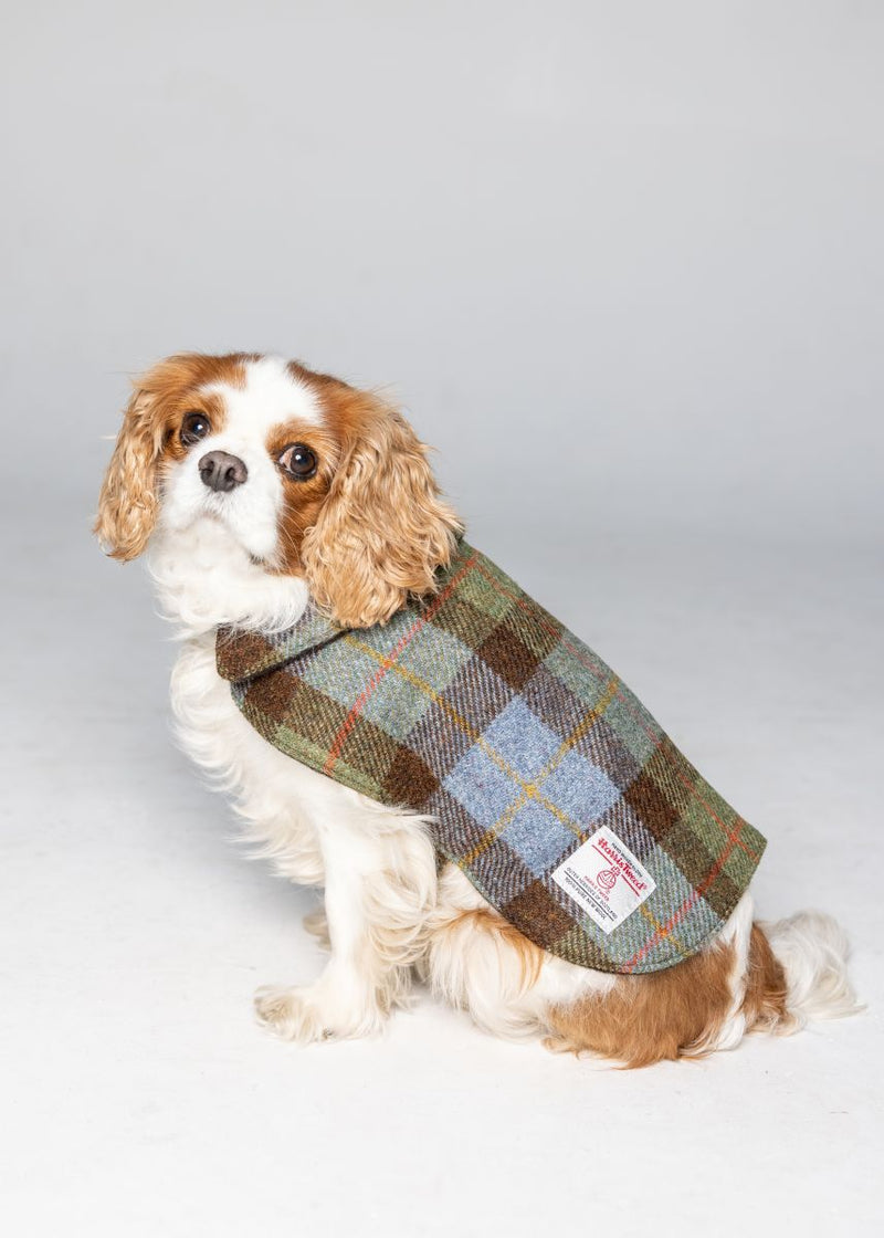 Traditional Scottish Harris Tweed Coat For Dogs | Scotland Kilt Co