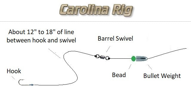 trout fishing rigs setup