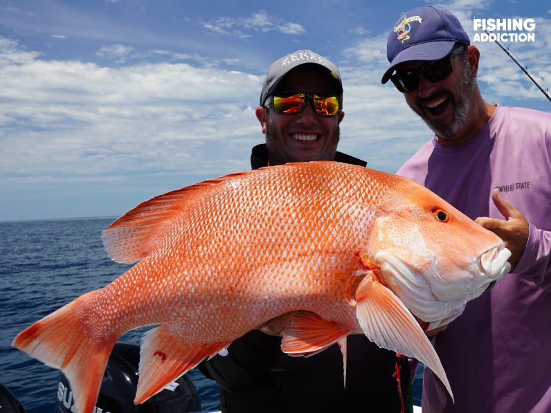 red emperor fish