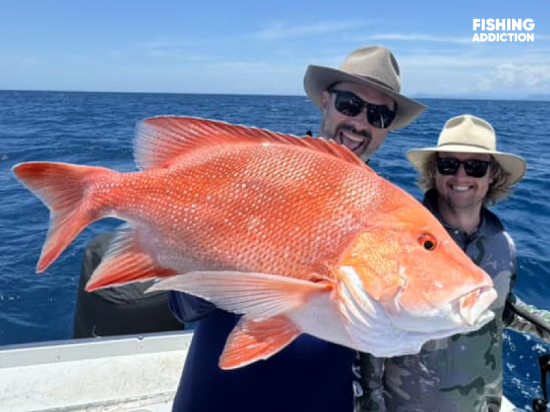 red emperor fish