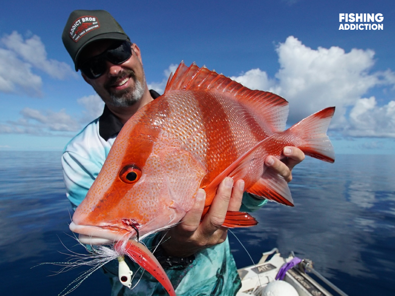 red emporer barrier reef