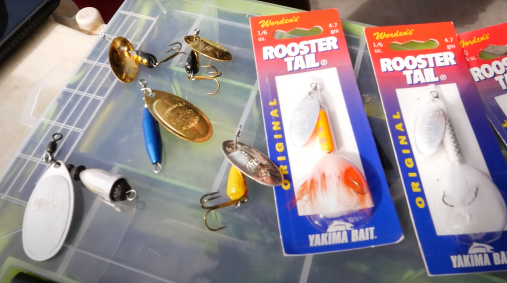 trout spinners rooster tail blue fox