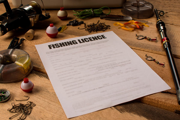 Fishing License 