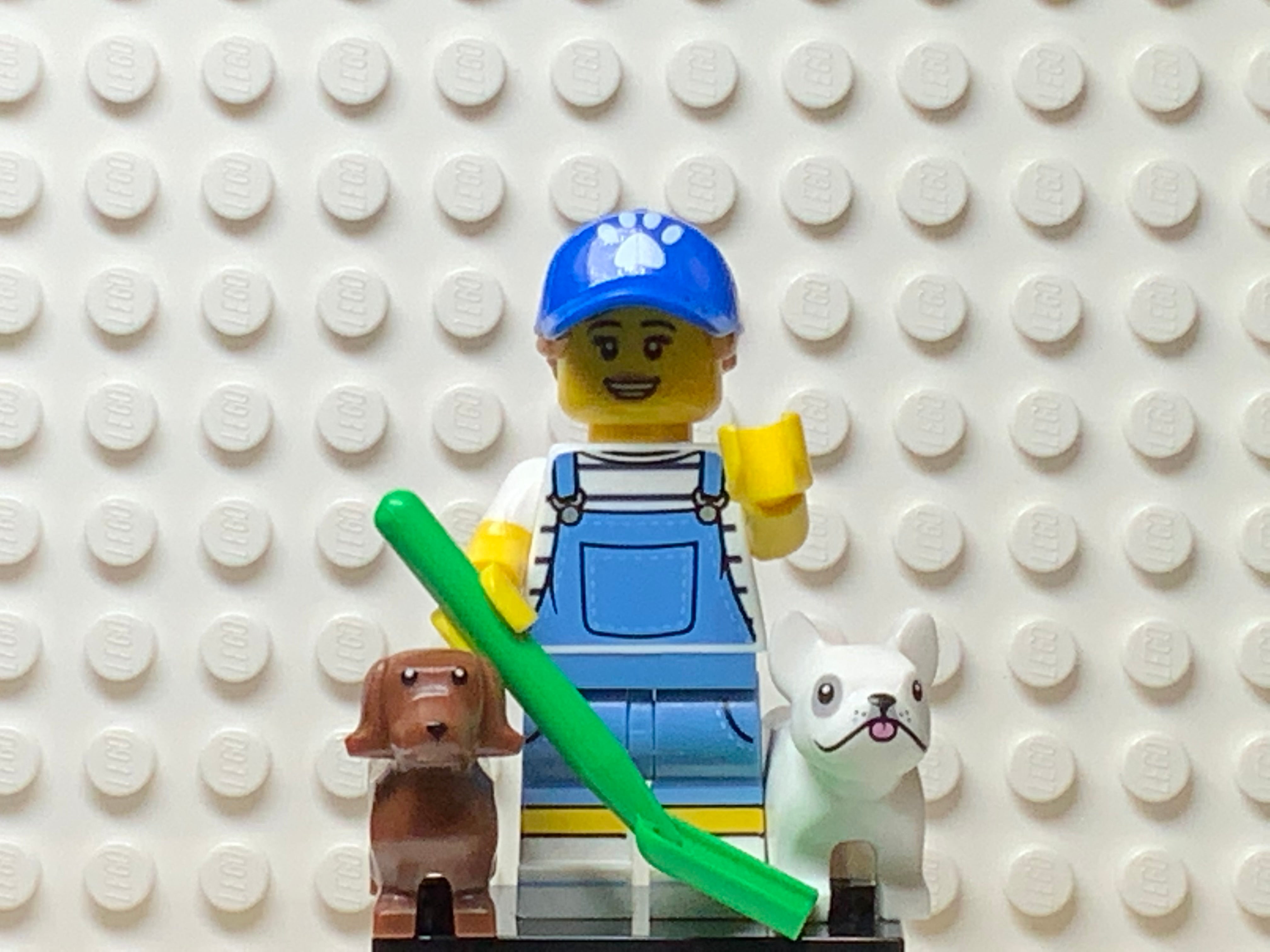 Florianopolis - Brazil, May 5, 2019: Minifigures Lego of two dogs