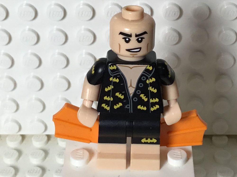 LEGO Fairy Batman Minifigure coltlbm03