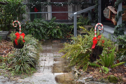 Candy Cane Christmas Path