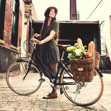 pannier basket bike