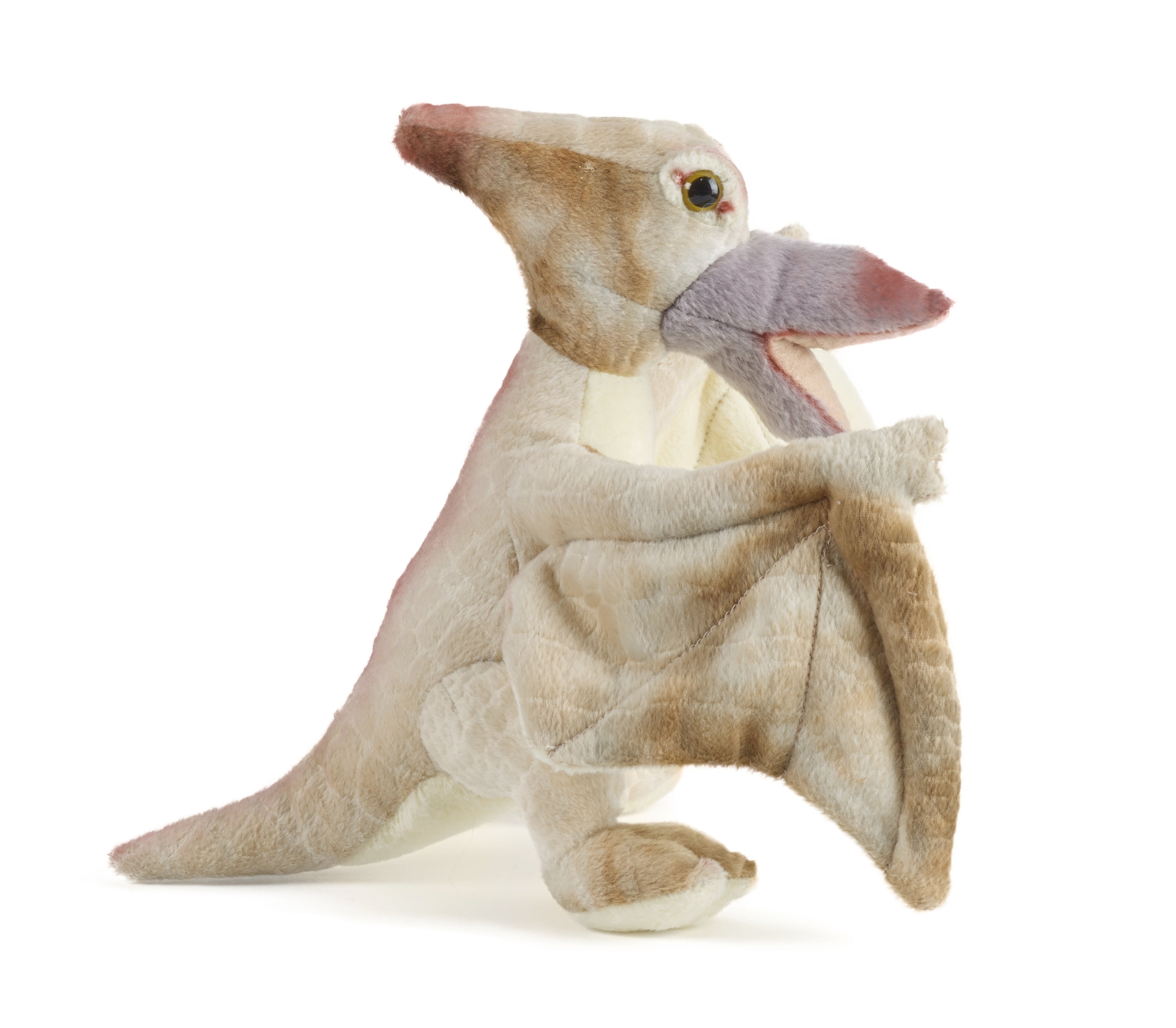 pteranodon plush