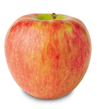 Honeycrisp Apple