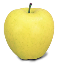 Golden Delicious Apple