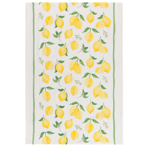 Now Designs Floursack Kitchen Towels, Gray/White/Moonstruck Gray - 3 count