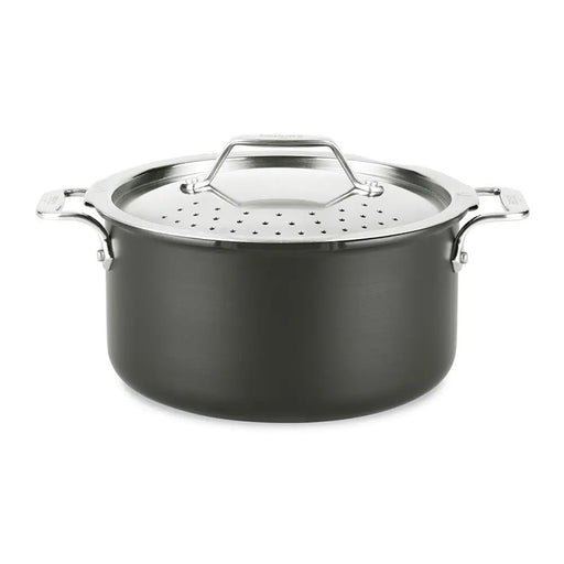 Gourmet Accessories, Pasta Pot with Perforated Insert and lid, 6 quart