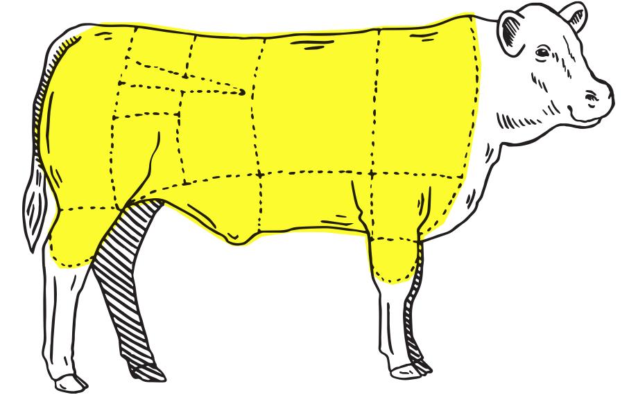 meat location illustration