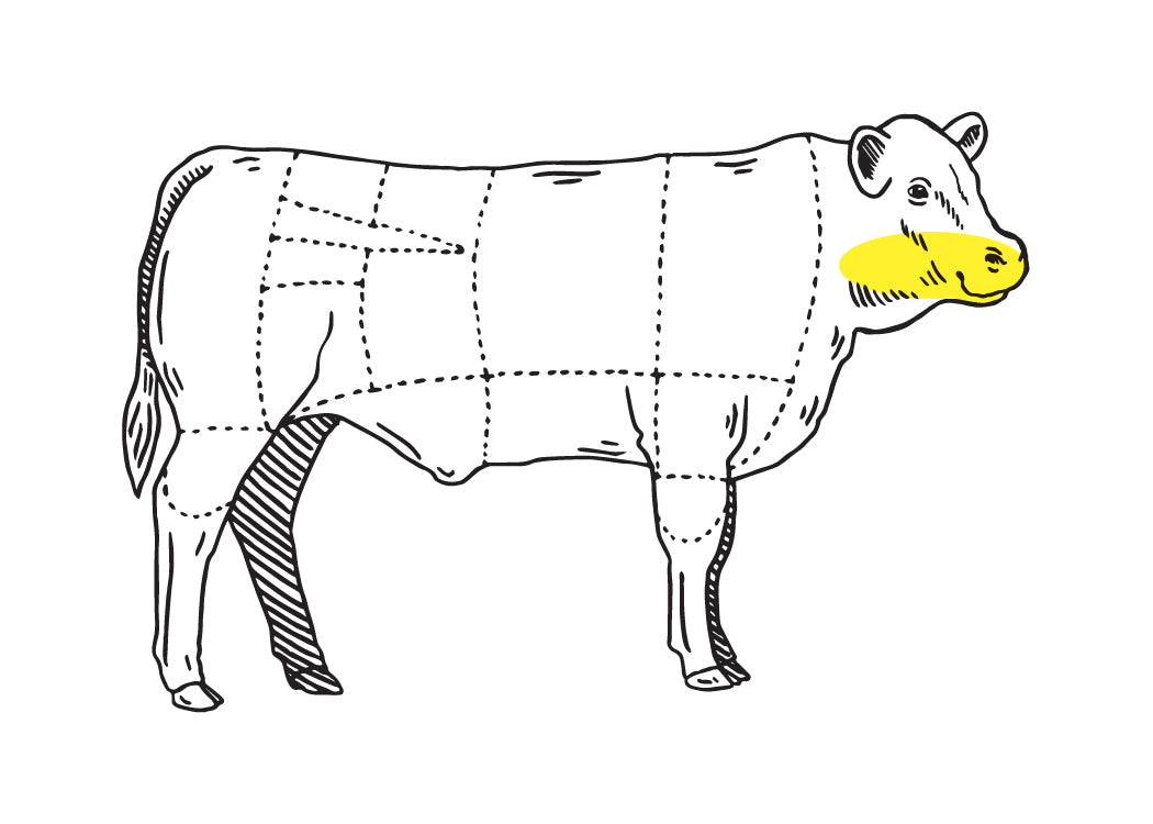 meat location illustration