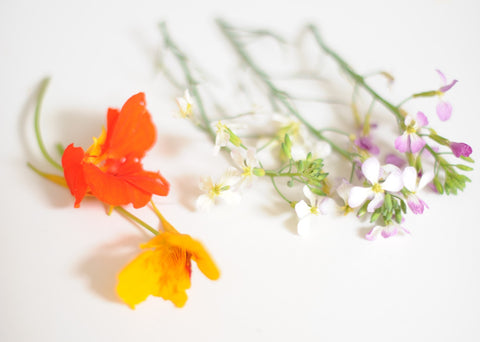 MillieLottie Edible Flowers