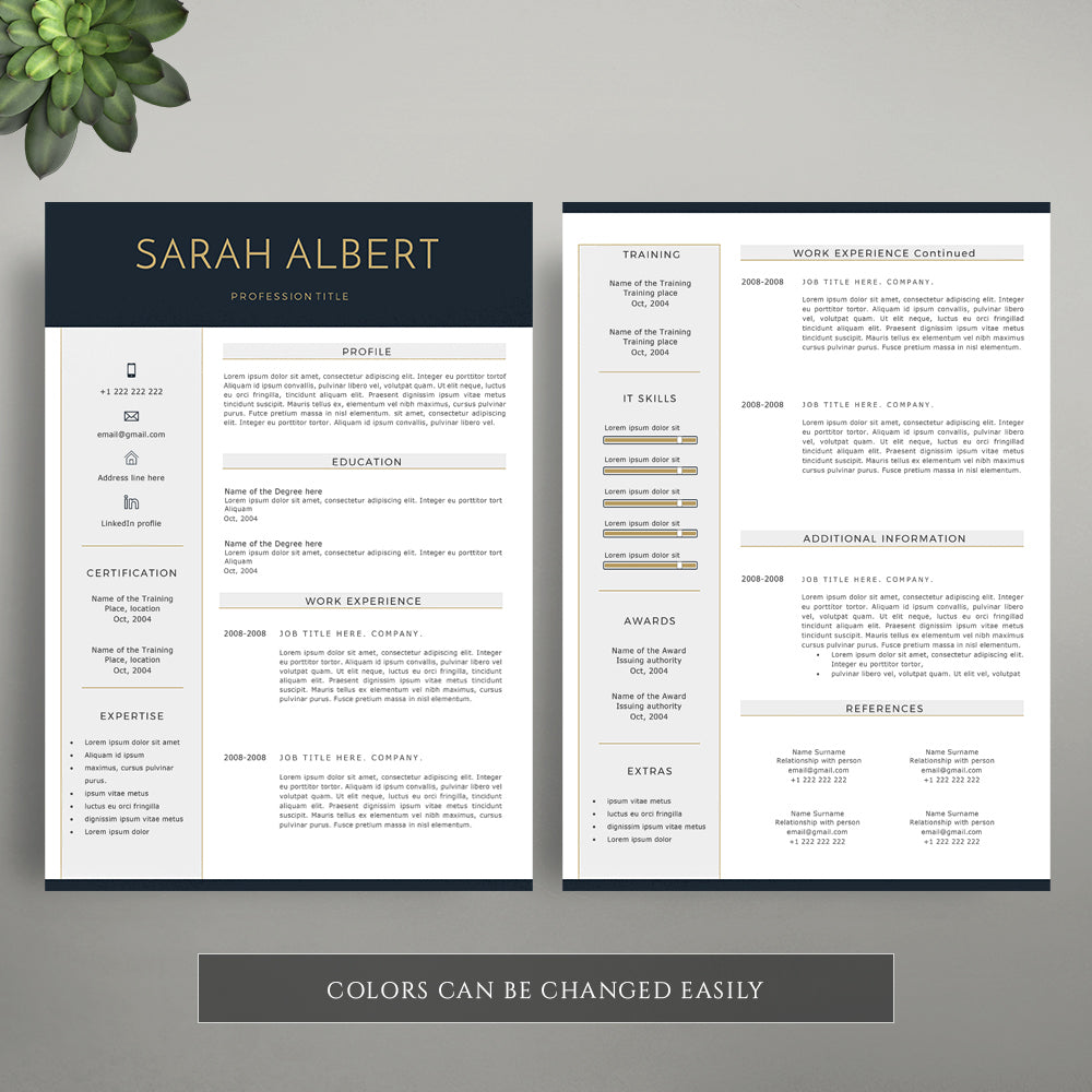 Professional Cv Template With A Matching Cover Letter Template Cvtemplatestore Co Uk