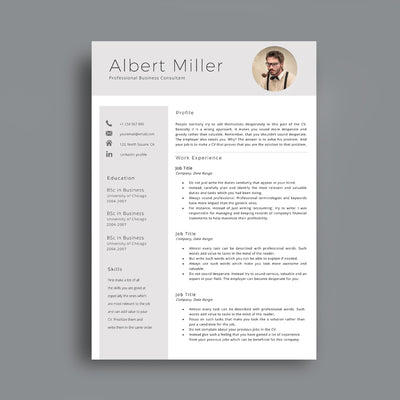 Professional Cv Template Cover Letter Editable In Ms Word Cvtemplatestore Co Uk