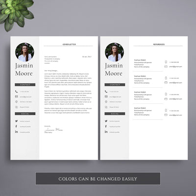 1 Page Professional Cv Template Instant Download Cvtemplatestore Co Uk