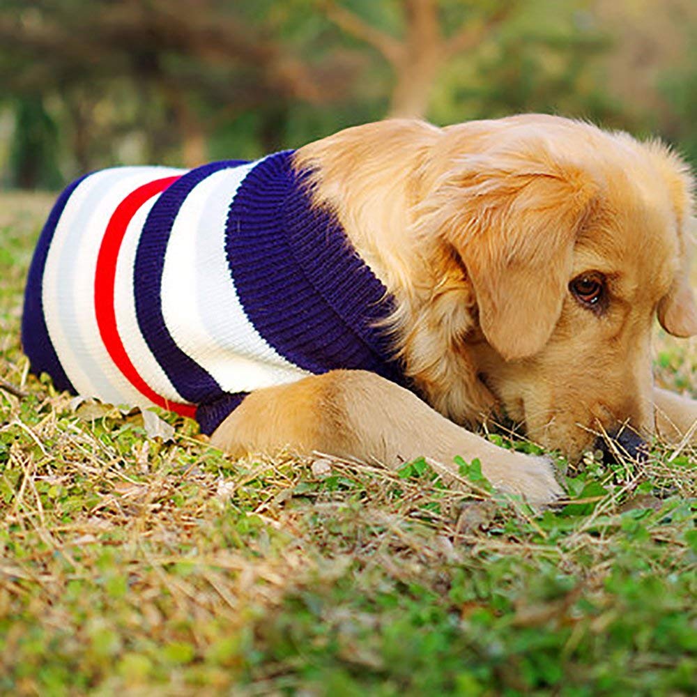 wooly dog jumpers