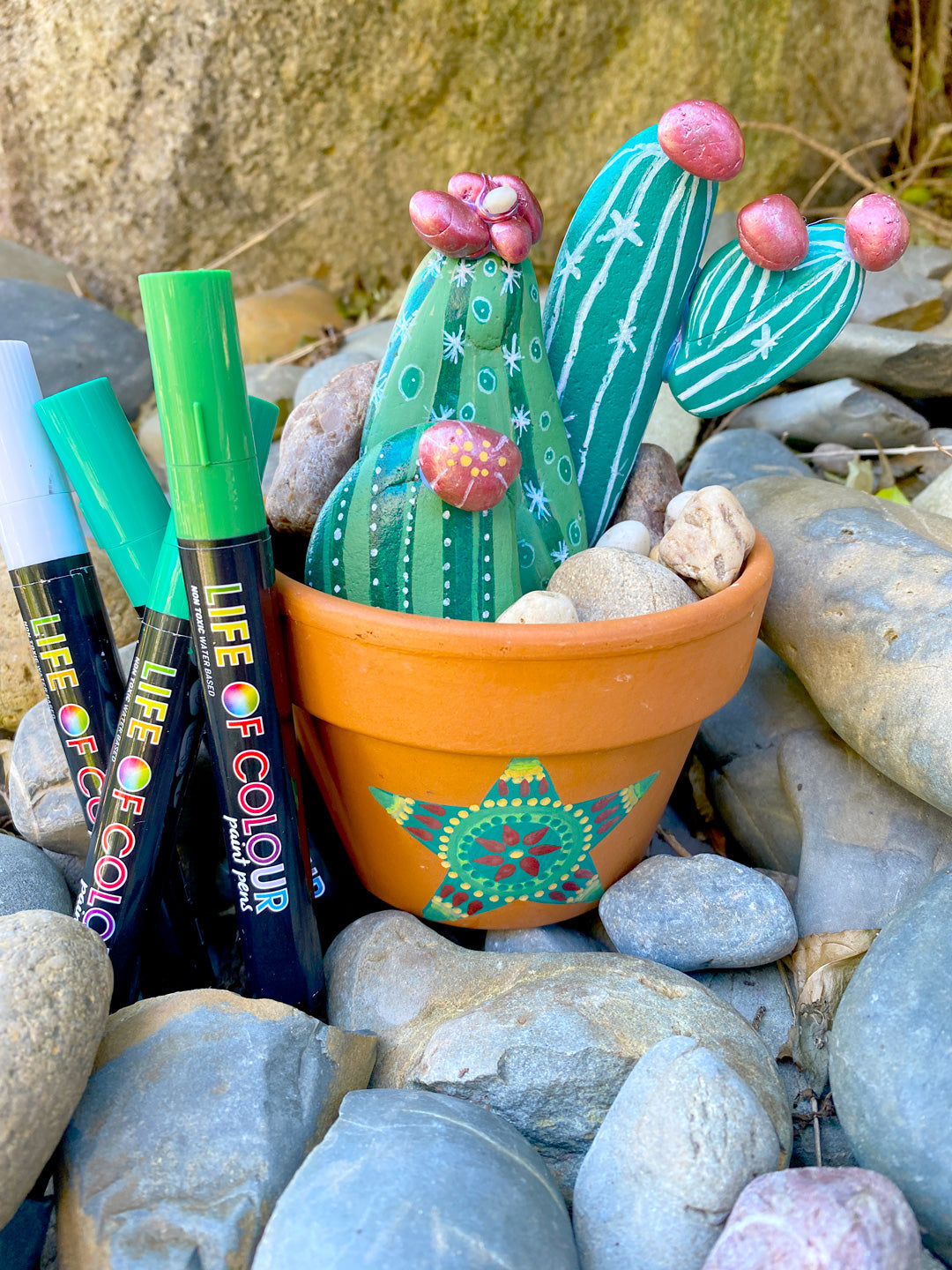 Essential Paint Pens for Rocks + Why to Use Paint Markers and Pens for Rock  Painting 