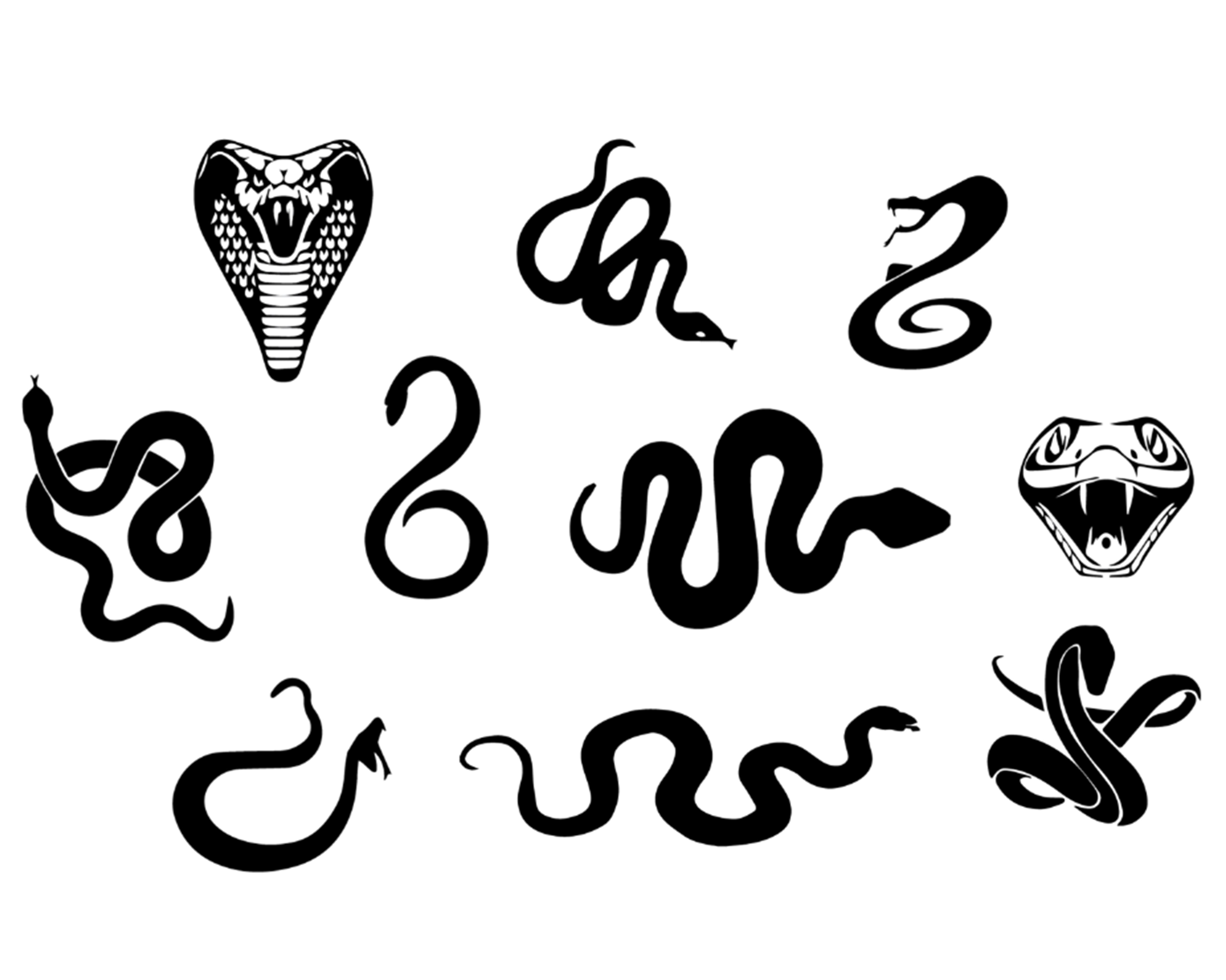 SNAKE / COBRA OUTLINE PAINTING STENCIL SIZE PACK *HIGH QUALITY* – ONE15