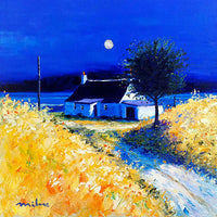 Grasspoint Cottage Isle Of Mull Contemporary Scottish Artist