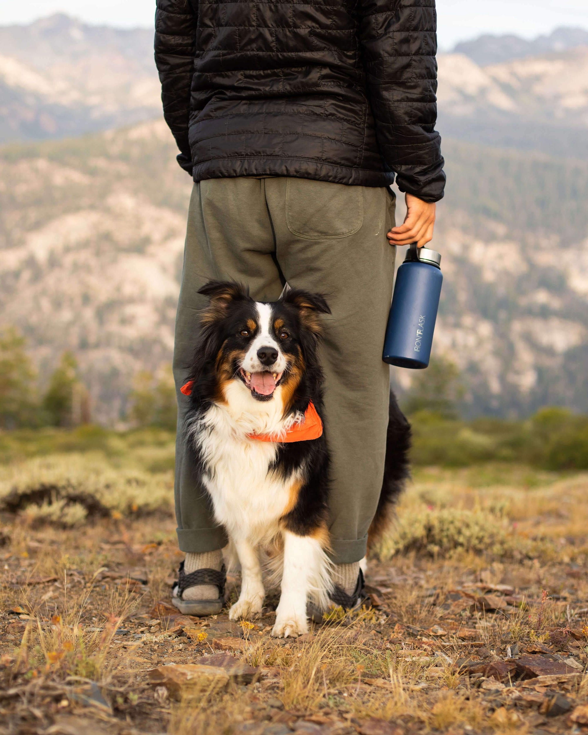 how much water should i bring my dog hiking