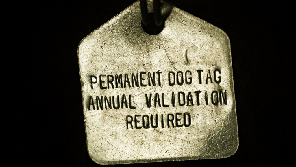 What to Put On Military Dog Tags