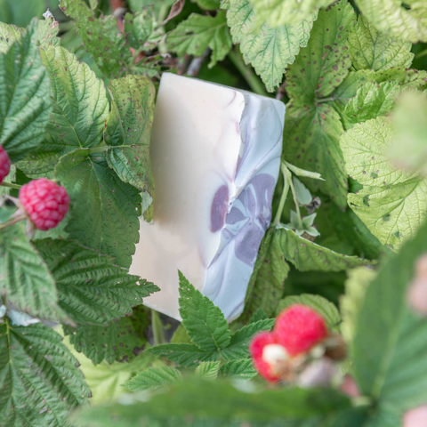 Black Raspberry Goat Milk Soap