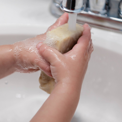 Washing hands with Calendula Goat Milk Soap