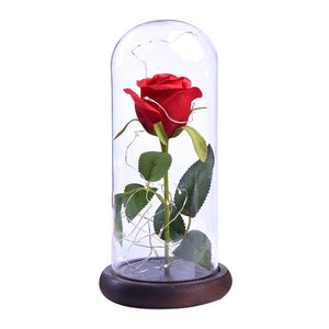 Enchanted Rose Flower Lamp - Beauty and the Beast