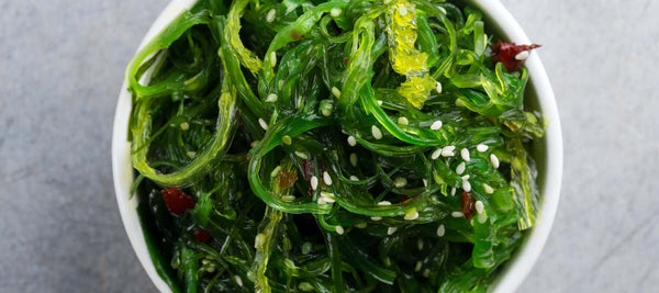 Image of a white bowl filled with green kelp seaweed ready to be eaten, take from above with a grey background