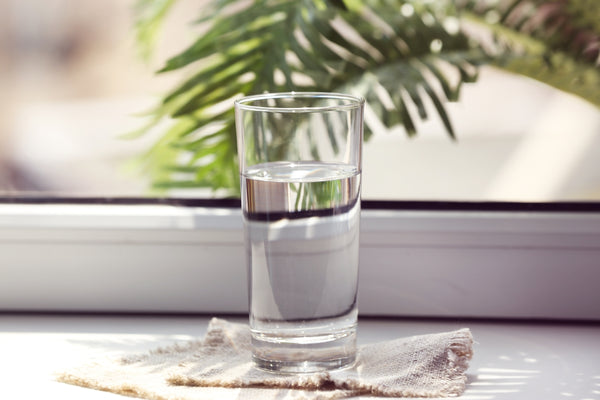 Glass of water with a green fern houseplant in background