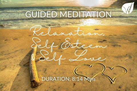 birch and wilde guided meditation for relaxation self love and self esteem