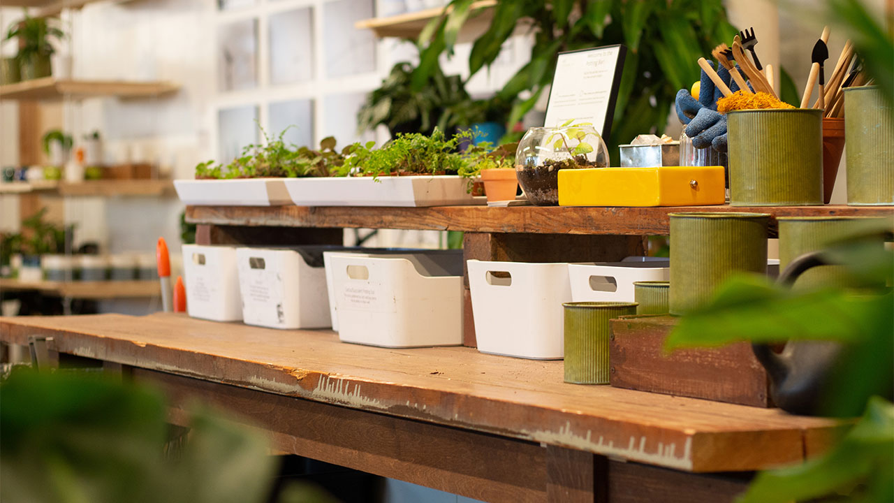Art Terrarium Potting Bar