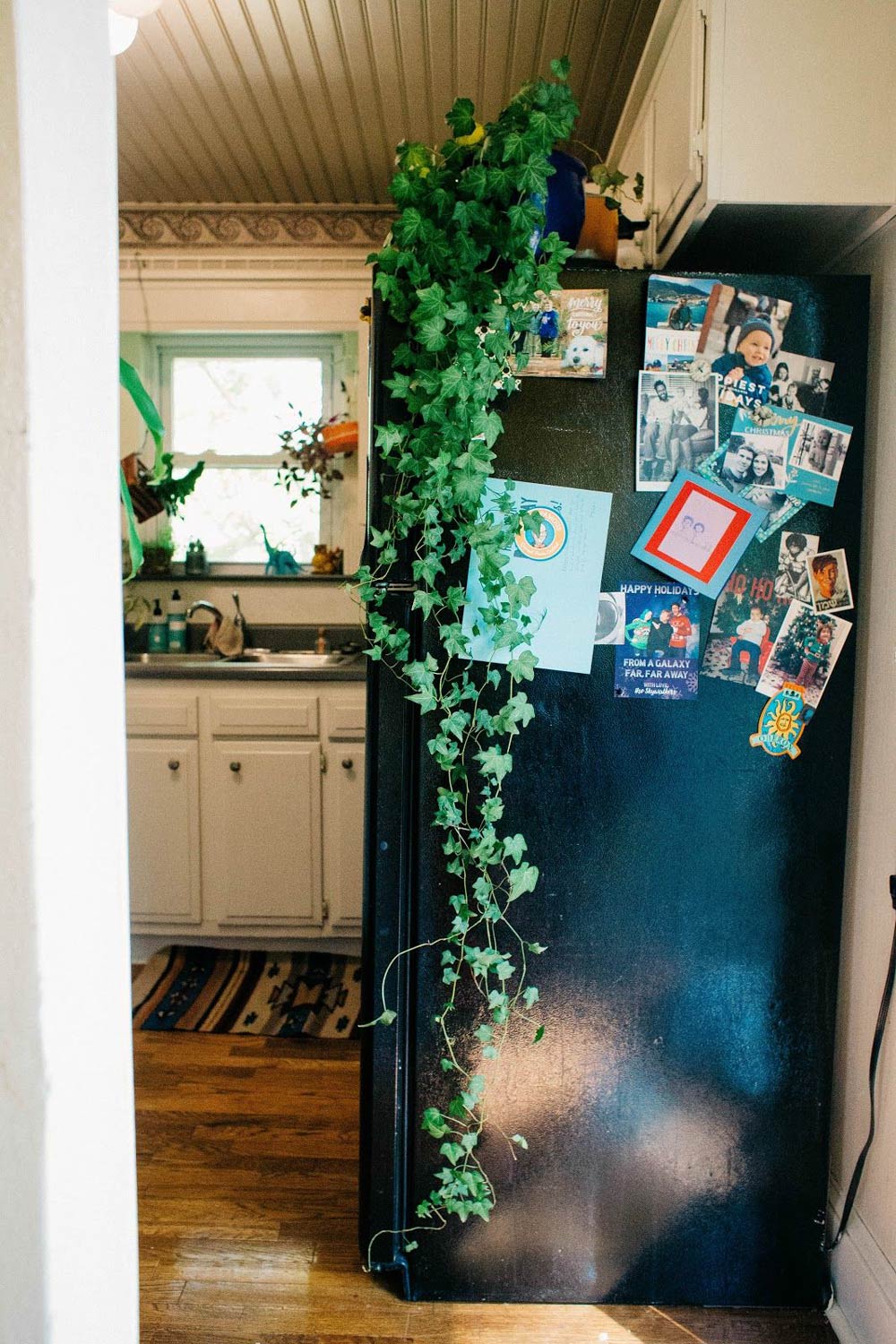 Fridge with plants